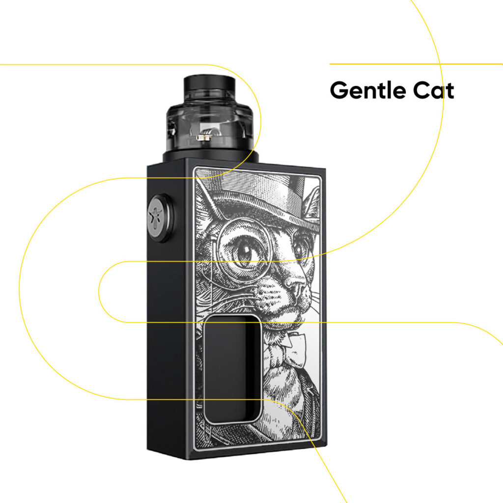R3-B-gentle-cat