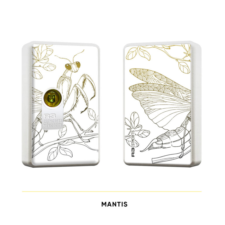 R3BB-D-mantis