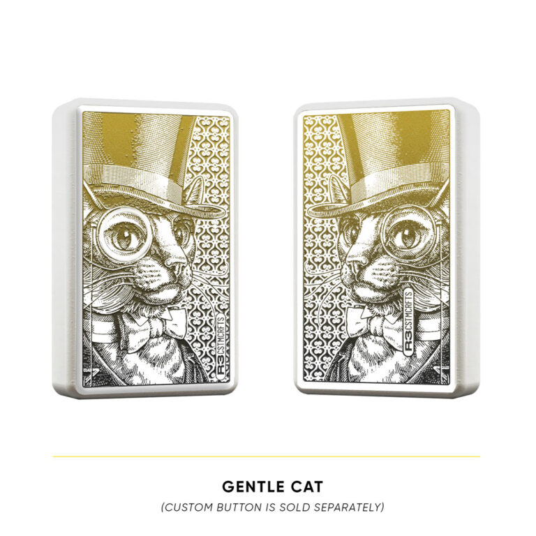 R3BB-D-gentle-cat