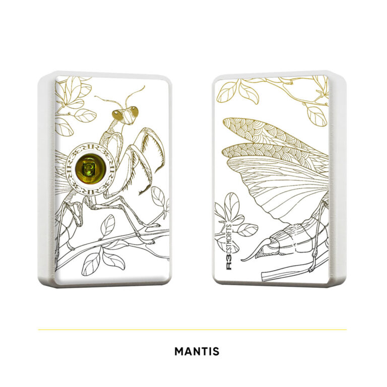 R3BB-D-mantis