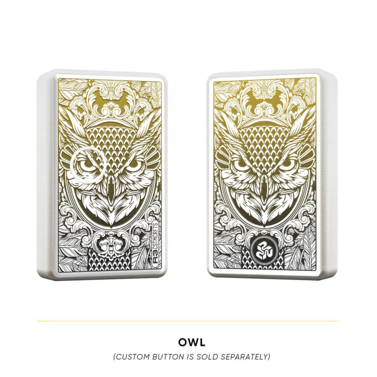 R3BB-D-owl